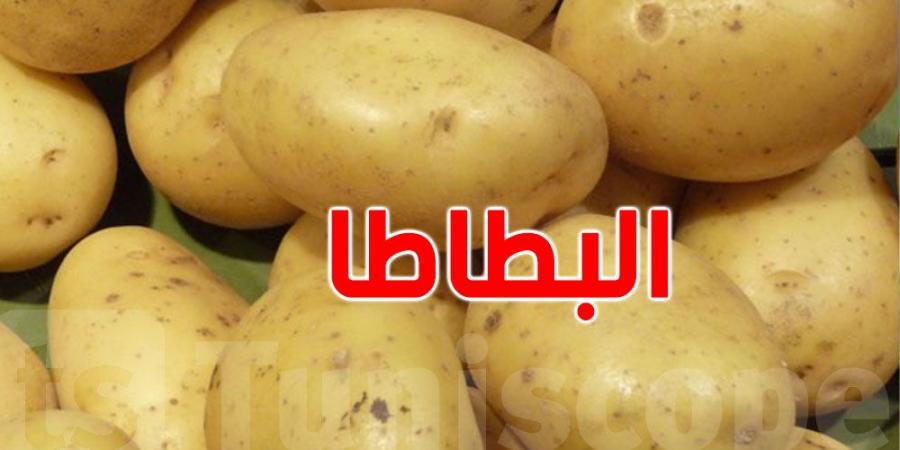 تقديرات بإنتاج 13664 طنا من البطاطا في قفصة - شبكة أطلس سبورت