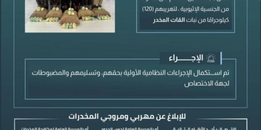 حرس الحدود بعسير يقبض على (6) مخالفين لتهريبهم (120) كيلوجرامًا من القات المخدر - شبكة أطلس سبورت