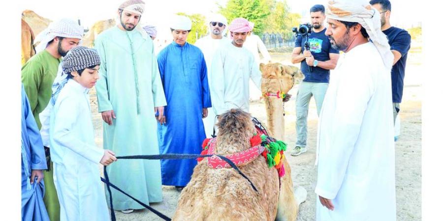 «عزبة البوش» تجربة حية للتعريف بالموروث الشعبي وطريقة حياة الأجداد - شبكة أطلس سبورت