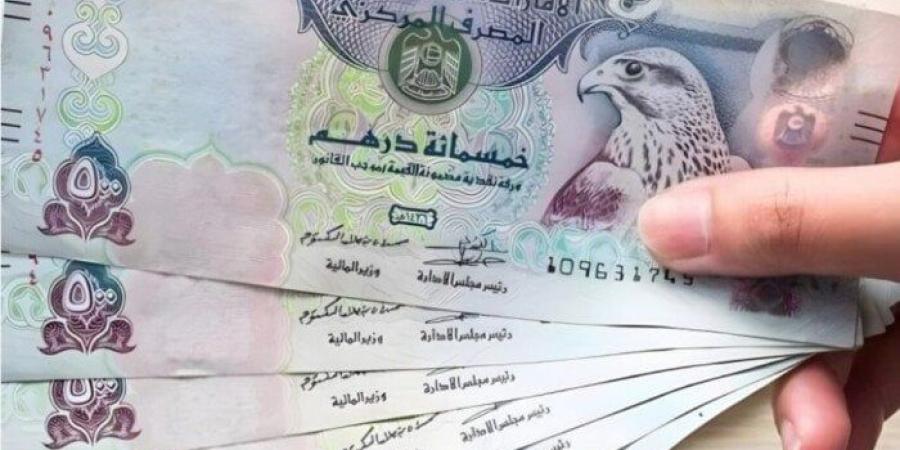 سعر الدرهم الإماراتي مقابل الجنيه المصري اليوم الأربعاء 8 يناير 2025 - شبكة أطلس سبورت