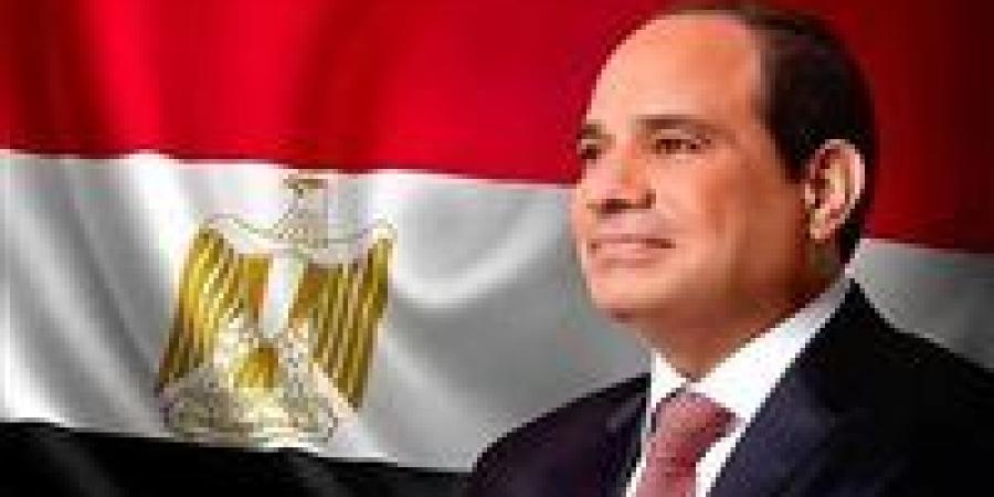 الرئيس السيسي: مصر خسرت 7 مليارات دولار بسبب تراجع إيرادات قناة السويس.. ولابد من دعم الاتحاد الأوروبي للقاهرة - شبكة أطلس سبورت