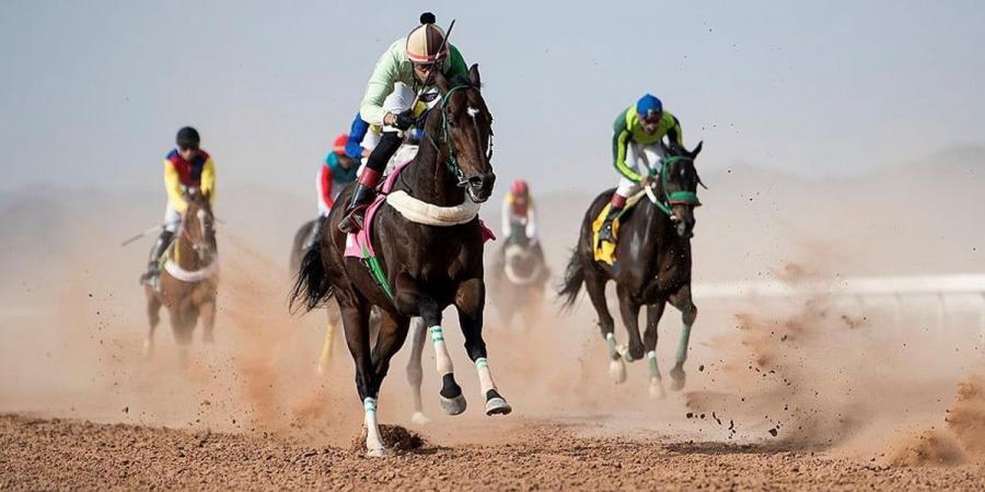 ميدان سباقات الخيل بنجران يُنظم اليوم حفل سباقه الرابع للموسم الحالي